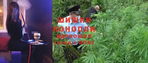 спиды Горно-Алтайск