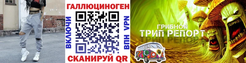 даркнет сайт  Череповец  кракен как войти  Галлюциногенные грибы мицелий 